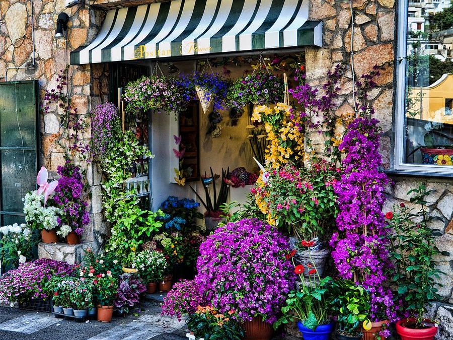 Цветочные магазины Лимассола: цветущая красота